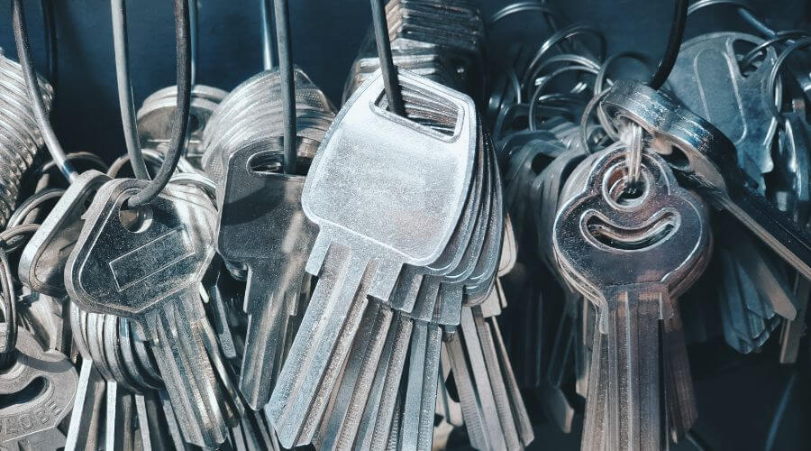 Professional gutter cleaning in Greenville, TX